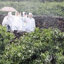 신효동-21 이미지