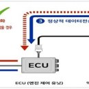 구구팔팔 Daum카페