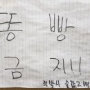 동경포차2 네이버블로그