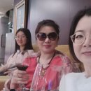 차이나 옥션