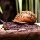 동두천락페스티벌 이미지