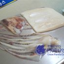 칠레산 냉동 수산물 가격 상승세 이미지