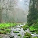 법대로행정사사무소 이미지