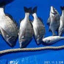 월항민박 이미지