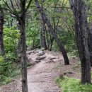 지곡리 등산로 이미지