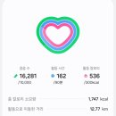 (주)나나토리 | 완벽히 준비된 이별은 없다