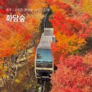 지금당 | 곤지암 화담숲 지금 단풍 절정 현황 모노레일 1구간 시간 후기