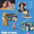 해피도그 이미지