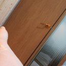 관저한사랑의원 이미지