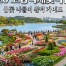 엘에스에이항공