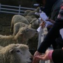 봉개동 명도암참살이마을 이미지