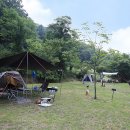 아빠의나무 야영장 이미지