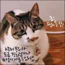 방학동물외과센터 이미지