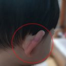 제주경찰청어린이집 연합뉴스