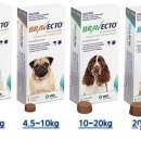 한마음약국 이미지