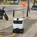 태일분식 | 미룸이의 삶 (2025.05월 일상)