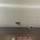부평레푸스 | 내 발 건강 지킴이, 부평 레푸스 부평역점 스케일링(무좀) 후기!