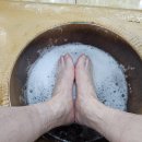 제주허브동산 이미지