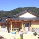 황토와소나무 이미지