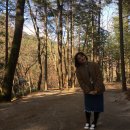 보헤미안게스트하우스 | 힐링가득! 평창여행 후기 : 1일차 (방아다리약수터...전나무숲길-용평리조트-발왕산-보헤미안게스트하우스)