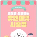 세븐일레븐 의왕레솔레파크점 | 🐱 의왕랙돌분양 후기｜유앤미펫에서 만난 사랑스러운 랙돌과의 첫 만남💛