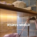 뉴-명동의류