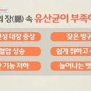 웰빙하와이