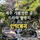 낙동강원시비경탐방로 | 제주 서귀포 가볼만한 곳 여행지 추천 자연관광지 「안덕계곡」