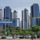 베일리 베일리 이미지