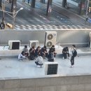 국관장체육관 | 241006 족발/네일/오픈매트/아트주짓수/하의실종남