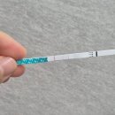 슈얼리박스 | 임신준비 슈얼리 배란테스트기 사용법 시기 시간 첫소변X 어플연동