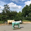 소연목장 이미지