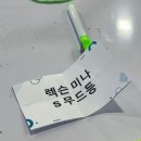 [2024 교육부 서포터즈 누리울림 후기] 엄마 나 교육부 갔어