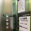 도그힐튼 이미지