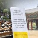 고령사회의 민낯 이미지