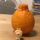 하모니하우스 이미지