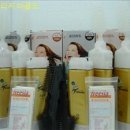 프리지아 B 이미지