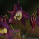 바위섬펜션 이미지