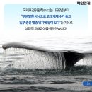 고래사냥 이미지
