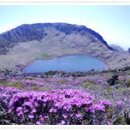 안골목장 이미지