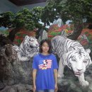 오백년이야기 이미지