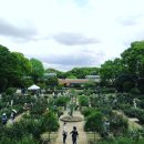 초원동물병원 | 아이와 함께 가는 후쿠오카 여행! 시내에서 끝내기 편! (필수 스팟 5선 + a)