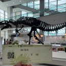 서대문자연사박물관 | [서대문] 서대문자연사박물관 주말 데이트 후기