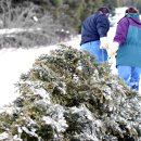 HIT GAME LAND 이미지