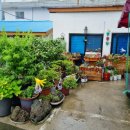 펜션 울릉도 이미지