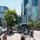 차빌부동산중개 이미지