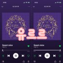 유르르 Daum카페