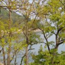 소소스토리펜션 이미지