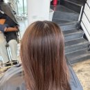 단헤어샵 | 브라운머리염색 체스넛브라운 애쉬브라운 매트브라운 대구헤어샵후기!