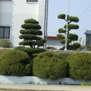 용봉초등학교 이미지